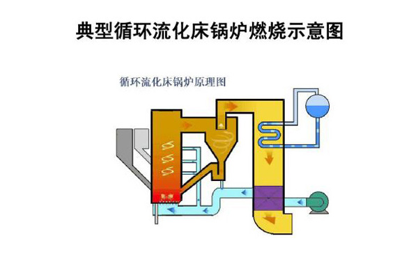 循環流化床鍋爐燃燒示意圖